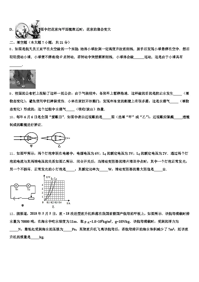 黑龙江省齐齐哈尔市2025-2026学年中考物理模试卷（含答案解析）第3页