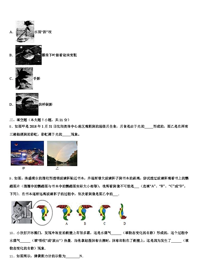 河北省2025-2026学年初中物理毕业考试模拟冲刺卷（含答案解析）第3页