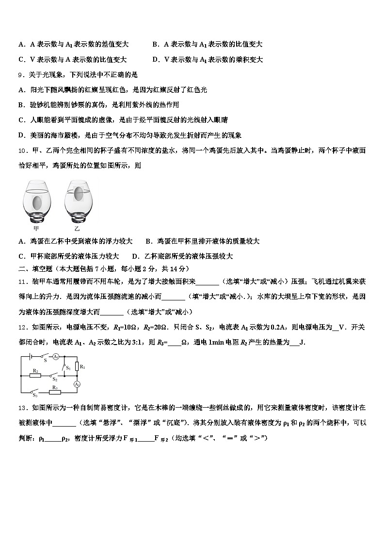 云南省德宏傣族景颇族自治州2026年初中物理毕业考试模拟冲刺卷（含答案解析）第3页