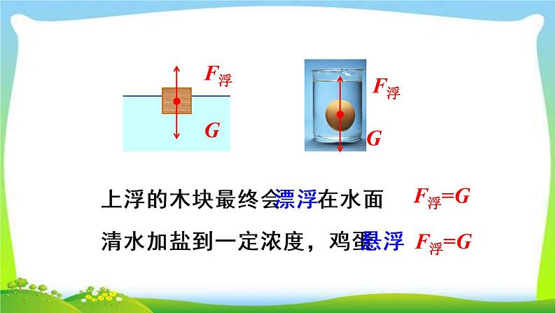 新人教版八年级下册物理教学课件 第十章 浮力 第三节 物体浮沉条件及应用第1课时 物体的浮沉条件07