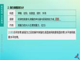 （福建专版）2020中考物理复习方案第01篇教材复习第二单元力学第05课时熟悉而陌生的力课件