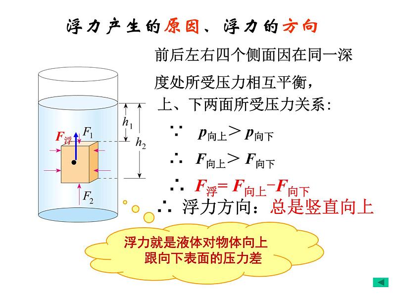 人教版物理八年级下册 第十章 浮力 复习课件04