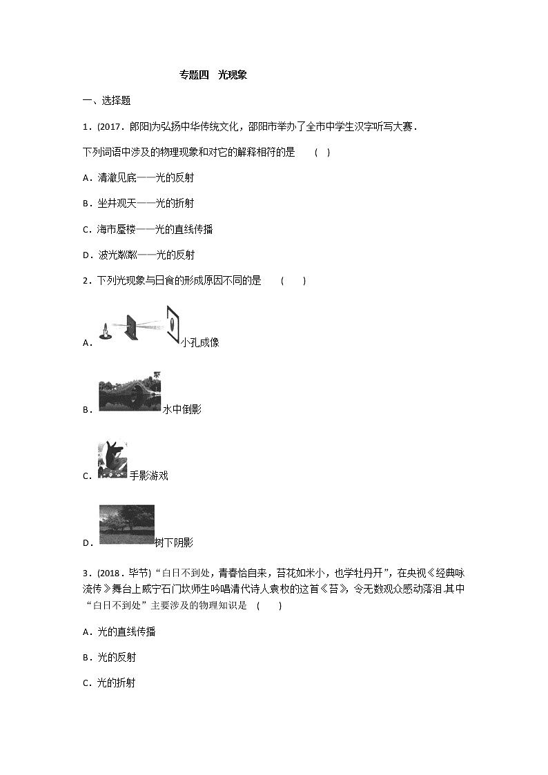 2020年人教版中考物理专题分类卷 专题四  光现象专练（含答案）01