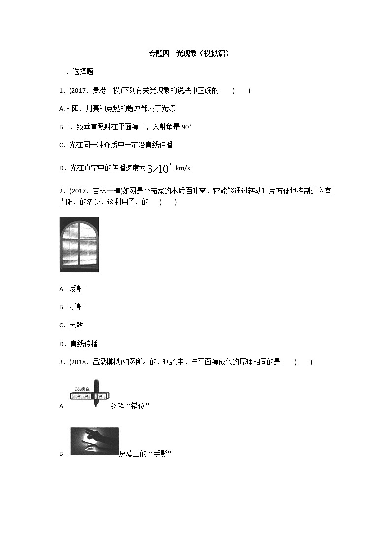 2020年人教版中考物理专题分类卷 专题四  光现象练习题 含答案01