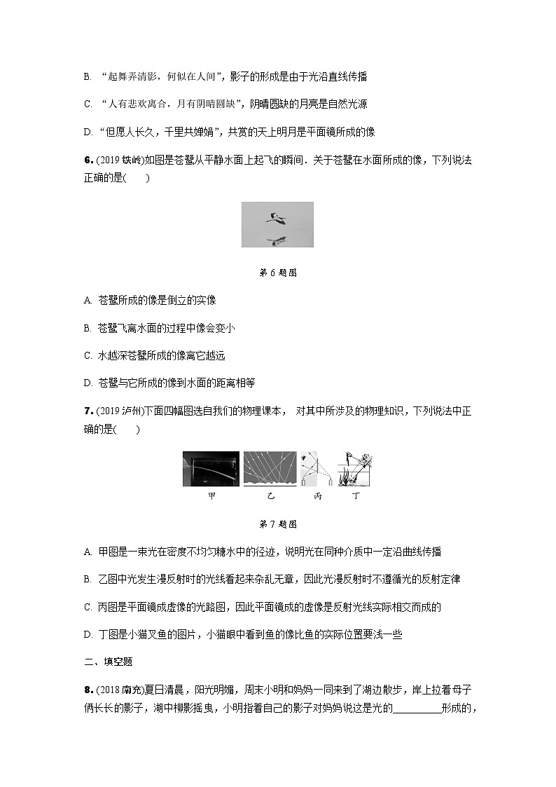 中考物理专题复习 1.第一节 光现象 练习02