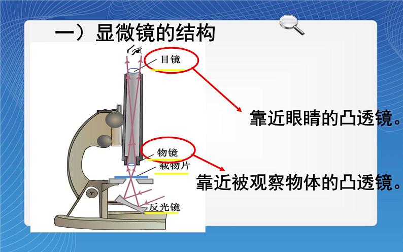 新人教版八年级物理上册《5.5显微镜和望远镜》（共15张PPT）第3页