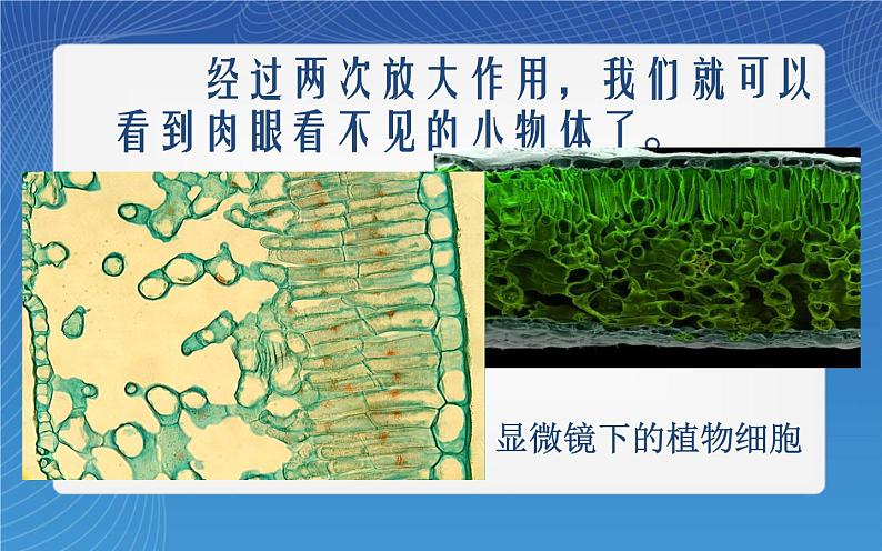 新人教版八年级物理上册《5.5显微镜和望远镜》（共15张PPT）第5页