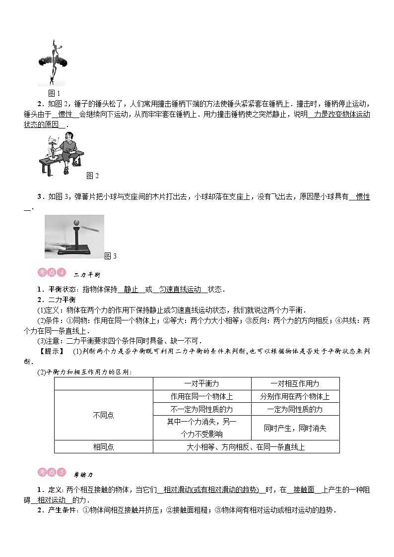 四川省中考物理考点复习教案：第8讲 力  运动和力第3页