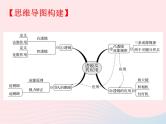 2020年中考物理一轮复习第四章多彩的光第二课时透镜及其应用考点梳理课件沪科版