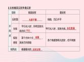 杭州专版2020中考物理复习方案第04课时光现象课件