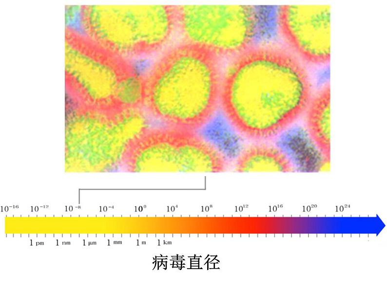 苏科物理八年级上册第五章1长度和时间的测量(共22张PPT)06