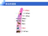 苏科物理八年级上册第五章2速度(共18张PPT)