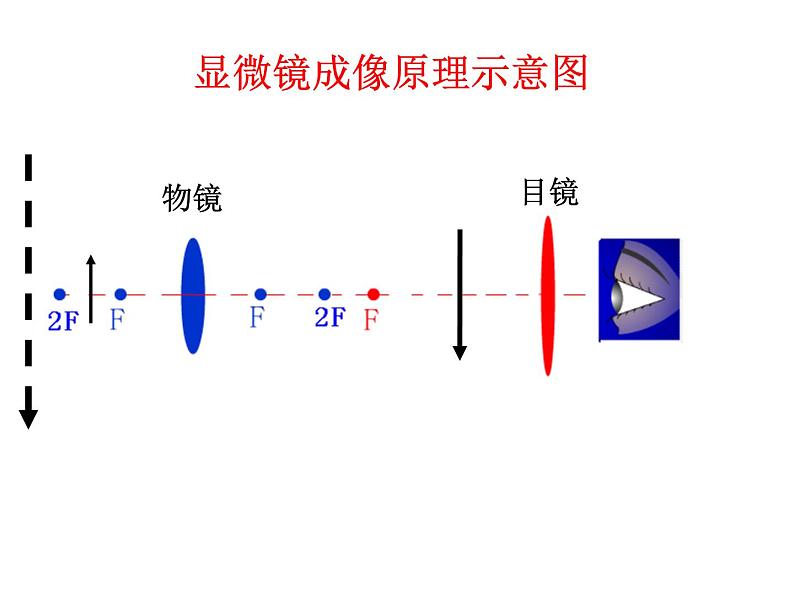 苏科物理八年级上册第四章5 望远镜与显微镜(共16张PPT)第7页