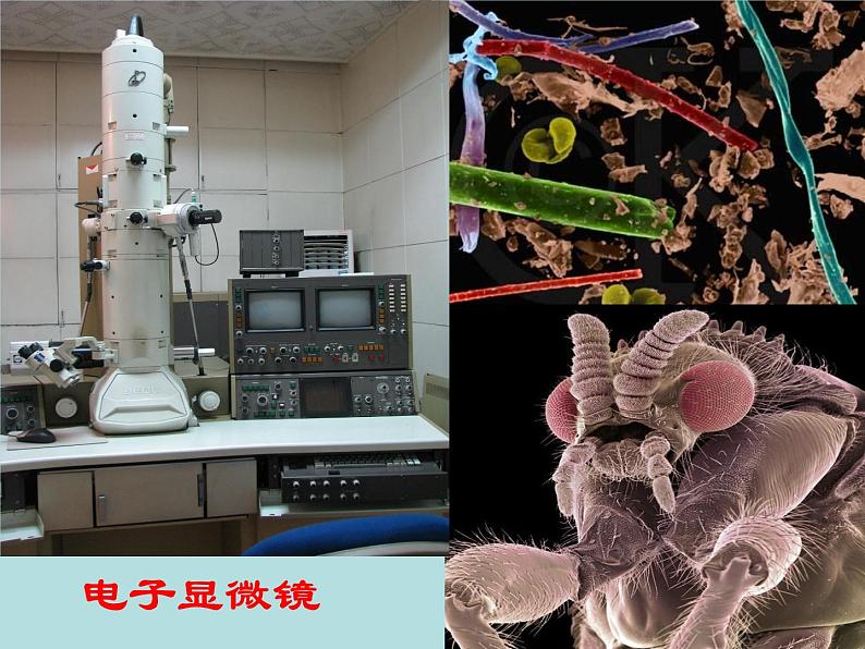 苏科物理八年级上册第四章5 望远镜与显微镜(共16张PPT)第8页