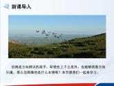 人教版九年级物理课件 20.1 磁现象 磁场（共20张PPT）