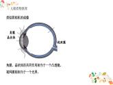 人教版八年级物理第五章《透镜的应用》21张ppt