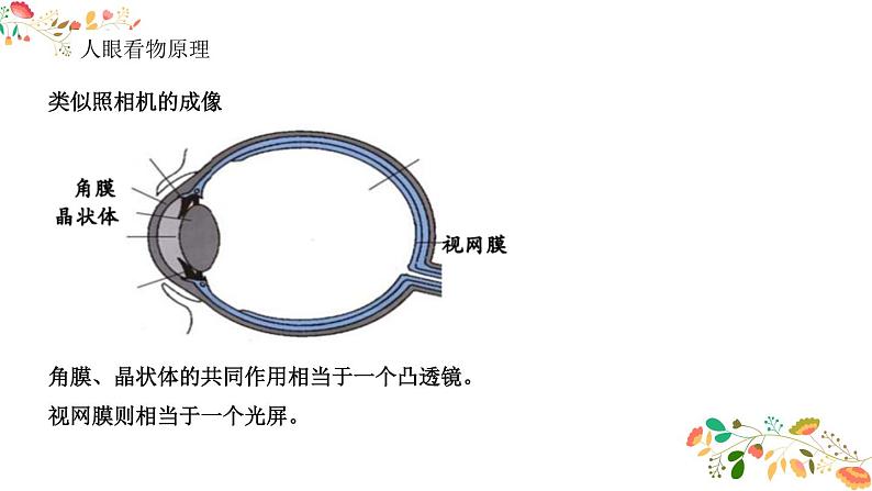 人教版八年级物理第五章《透镜的应用》21张ppt05