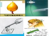 北师大版九年级物理全册第十一章第三节《三 电荷》课件