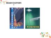 人教版九年级物理第十五章第一节《两种电荷》17张ppt