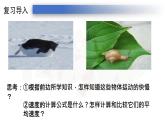 人教版八年级上册课件 1.4测量平均速度（19张PPT）