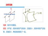 压强与流速的关系 课件