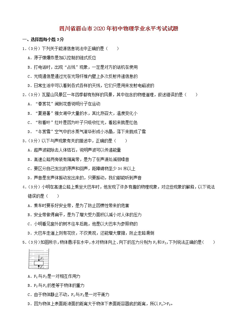 四川省眉山市2020年初中物理学业水平考试试题（含解析）第1页