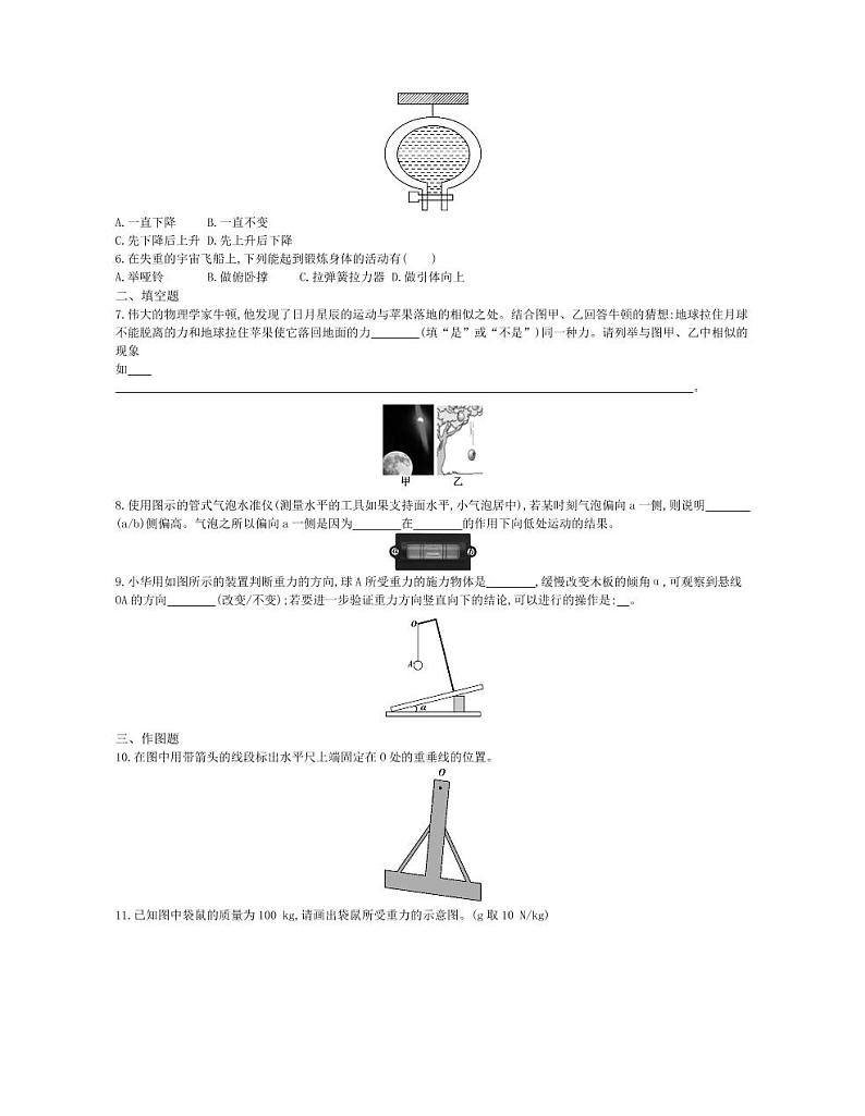 八年级物理下册第七章力第3节重力（第2课时）课时练习（pdf，含解析）（新版）新人教版02