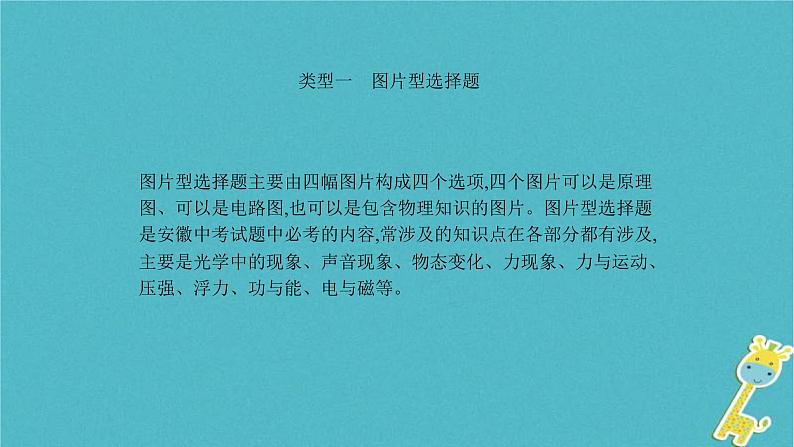 中考物理二轮复习专题突破13 选择题 复习课件（含答案）06