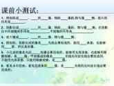 人教版 八年级 上册 物理 第五章 透镜及其应用第三节：凸透镜成像规律（27张PPT））