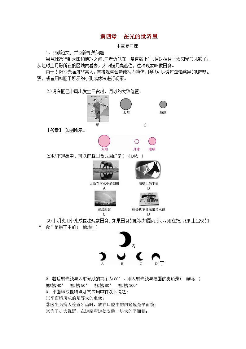 教科版八年级物理上册 第4章《在光的世界里》本章复习练习本(含答案)01