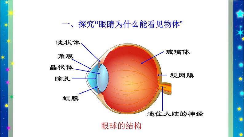 北师大版八年级物理下册第六章第四节 《四 眼睛和眼镜》课件03