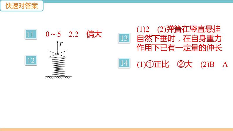 第六单元  第3节　弹力与弹簧测力计 练习课件03