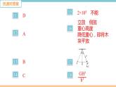 第六单元  第4节 来自地球的力 练习课件