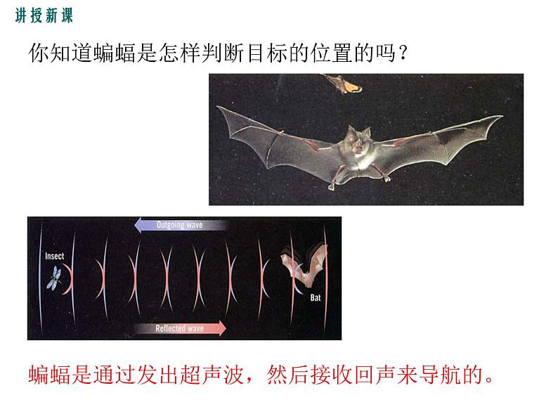 沪科版物理八年级上册：3.3《超声与次声》课件06