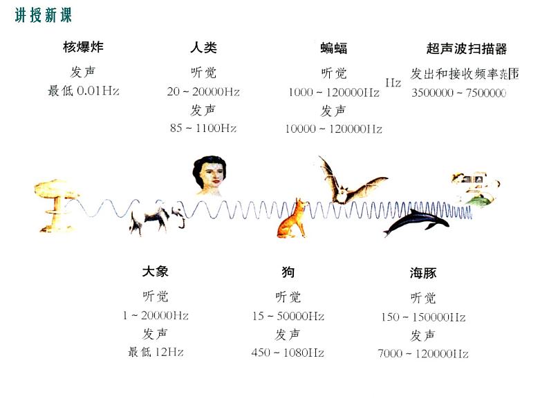 沪科版物理八年级上册：3.3《超声与次声》课件07