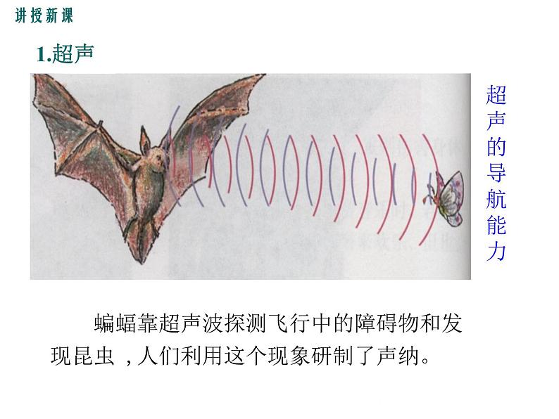 沪科版物理八年级上册：3.3《超声与次声》课件08