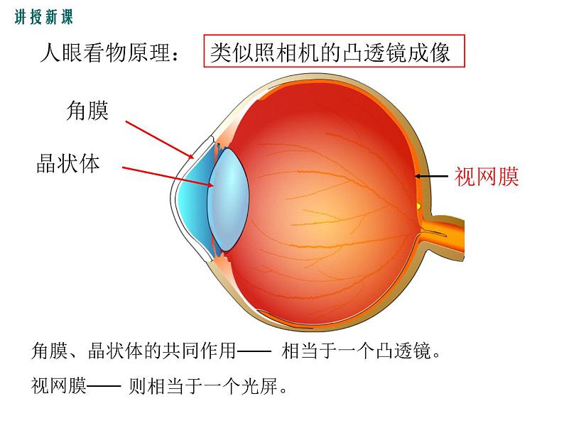 沪科版物理八年级上册：4.6.1《神奇的眼睛（第1课时）》课件06