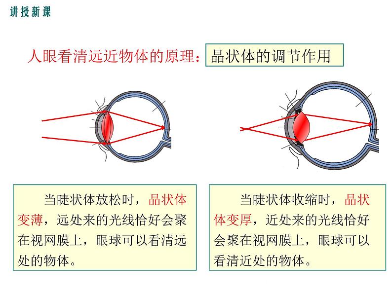 沪科版物理八年级上册：4.6.1《神奇的眼睛（第1课时）》课件08
