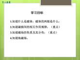 滬科版物理九年級(jí)：17.1  磁是什么 課件