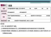 17.1  磁是什么 練習(xí)課件