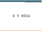 19.1 感受信息 练习课件