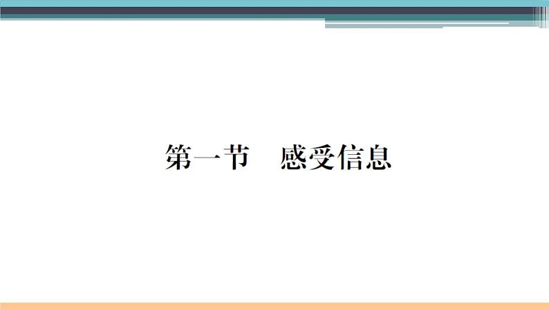 19.1 感受信息 练习课件第1页