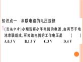 14.5  测量电压（第2课时）练习课件