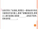 第十六章 专题十  灯泡的亮度问题 练习课件
