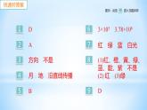 3.1 光世界巡行 练习课件