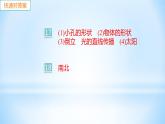 3.1 光世界巡行 练习课件