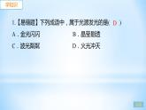 3.1 光世界巡行 练习课件