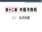 12.1  认识内能  练习课件