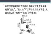 13.5  怎样认识和测量电压 练习课件