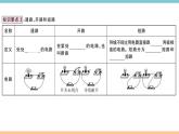 13.2电路的组成与连接方式——第1课时  电路与电路图 练习课件